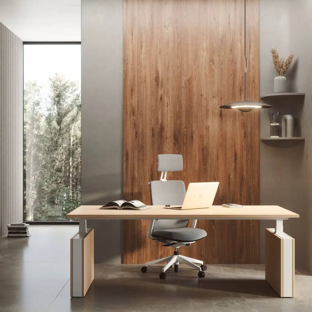 Mobility Executive
