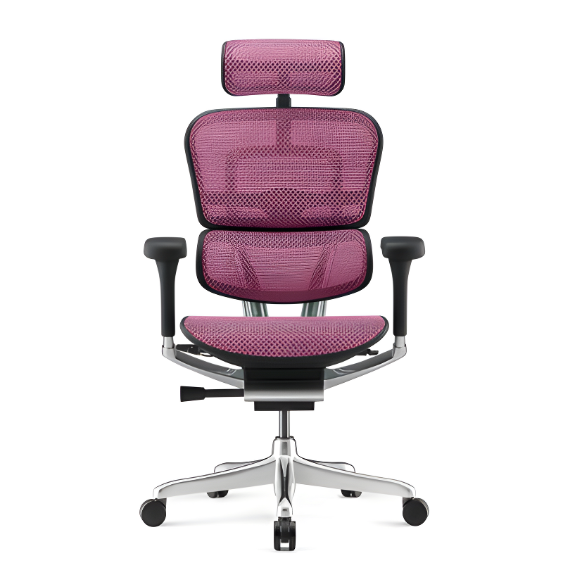 Ergohuman Elite 2 Mesh Colored