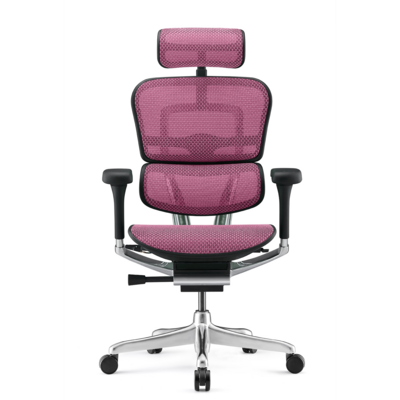 Ergohuman Elite 2 Mesh Colored