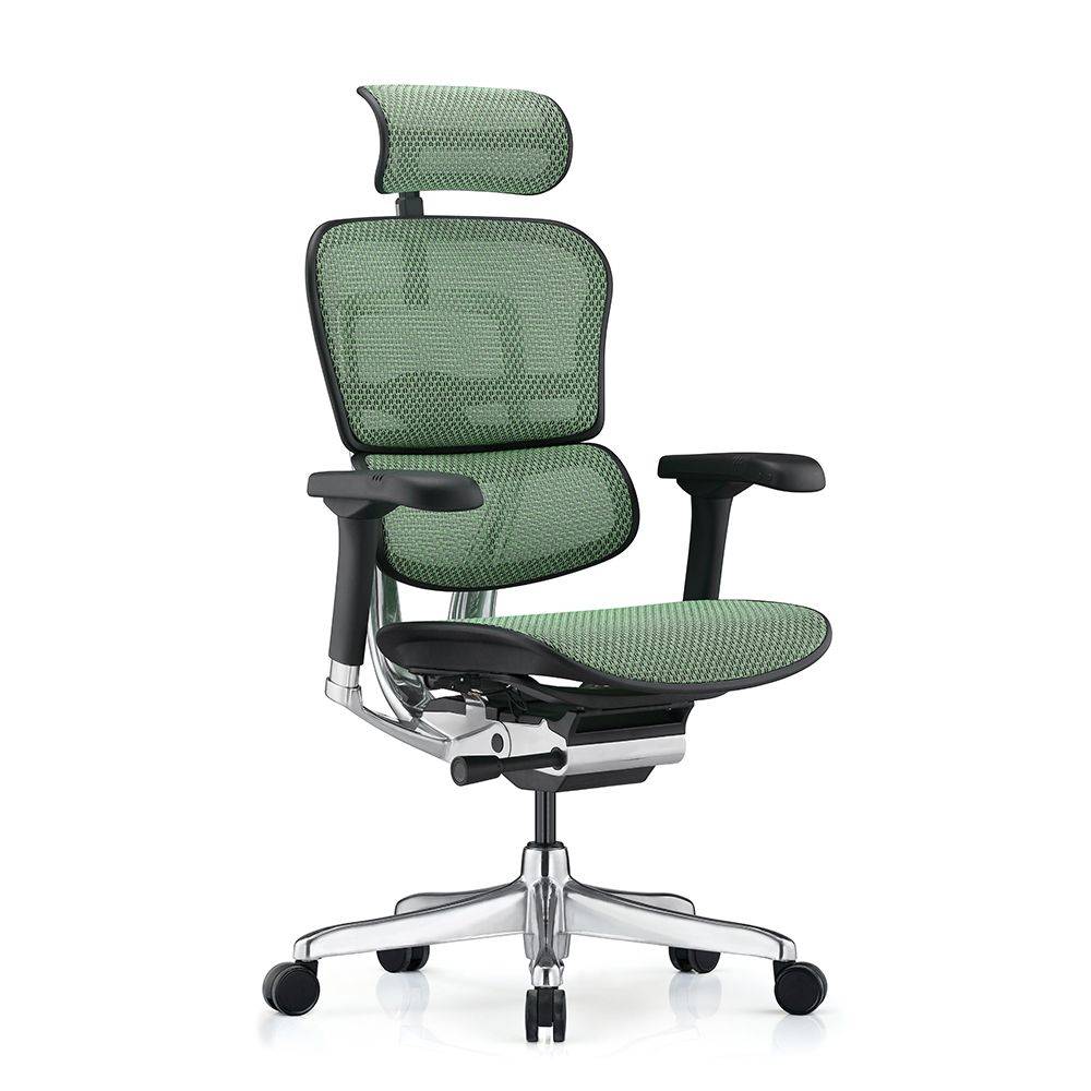Ergohuman Elite 2 Mesh Colored