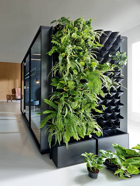 HUSH Green Walls