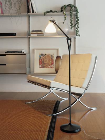 Luxy F1
