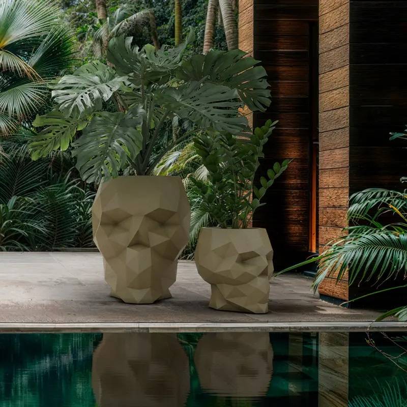 Skull Collection
