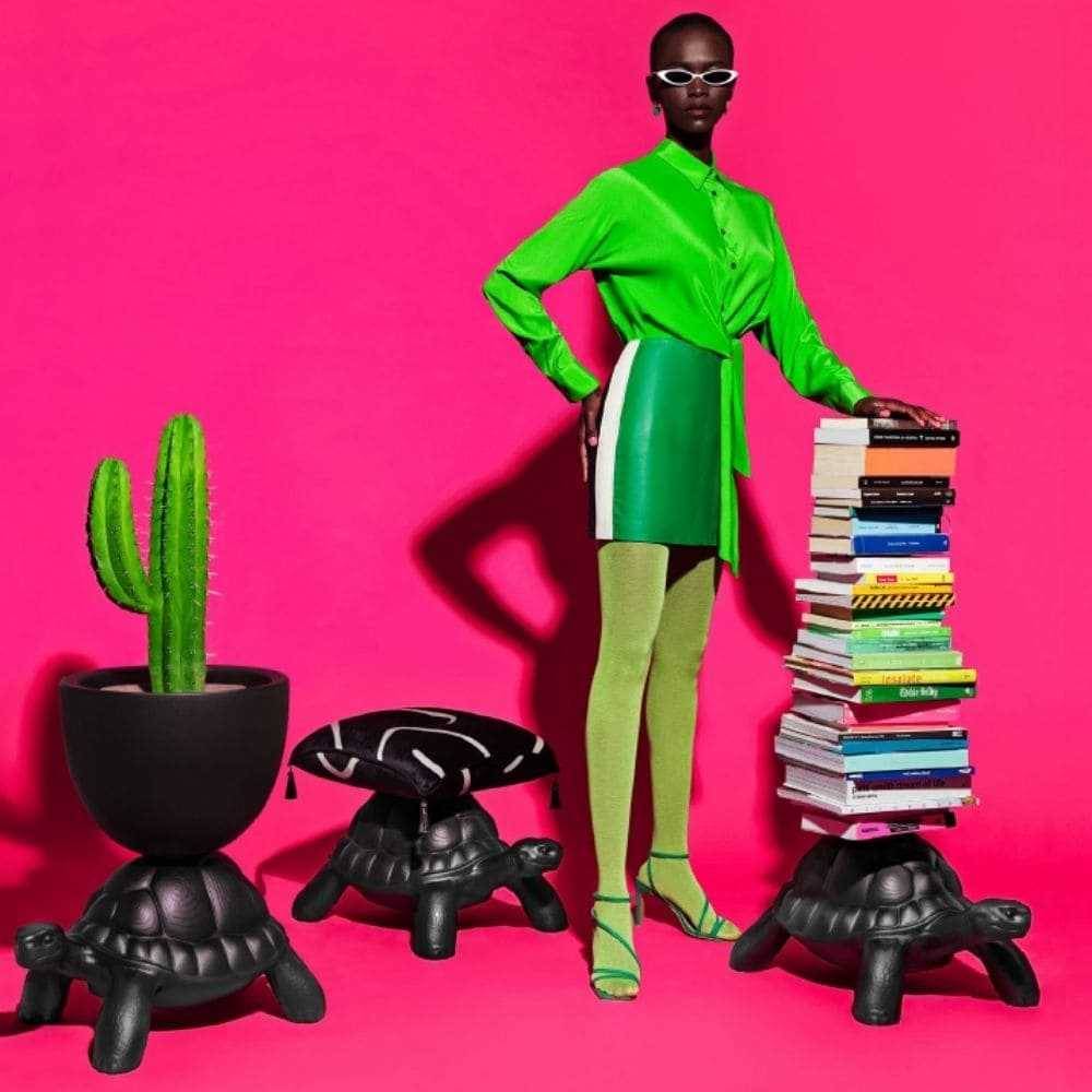 Turtle Carry Bookcase