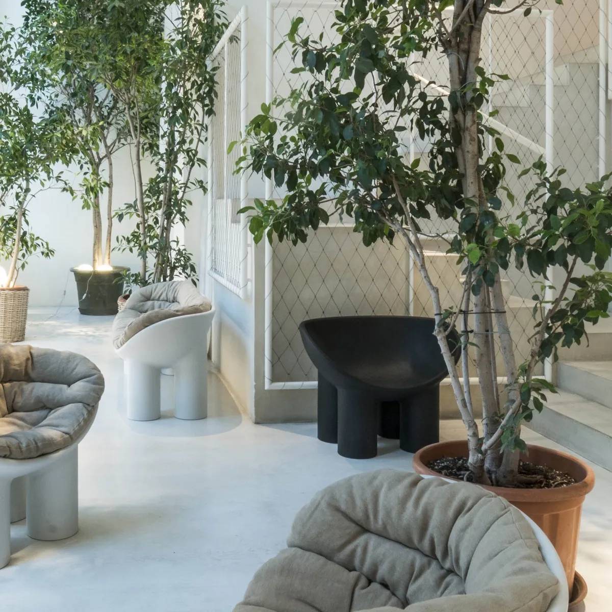 Roly Poly Chair - Black is the new Green Collection - 